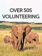 Over 50s volunteering