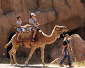 Camel trekking