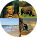 KwaZulu-Natal highlights