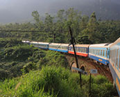 Reunification Express