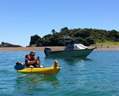 Bay of Islands cruise