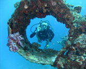 Red Sea diving