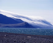 Wrangel island