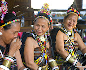 Variety of cultures