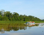 Kinabatangan River