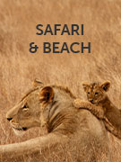Safari & beach