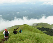 The beaten track