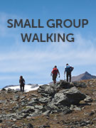 Small group walking