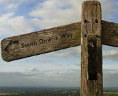 South Downs Way