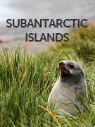 Subantarctic islands