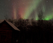 Northern Lights