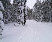 Wilderness
