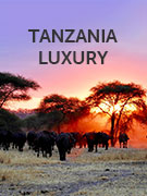 Tanzania luxury