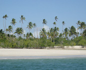 Other islands