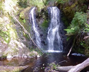 NW Peninsula