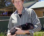 Tassie people