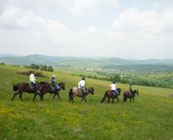 Horse riding