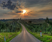Long and winding roads