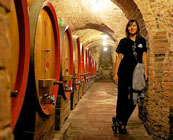 Wine tasting tours