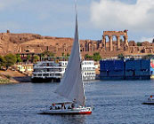 Felucca trips
