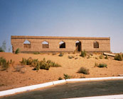 Uzbek desert
