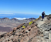 Canary Islands