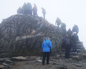 Charity climbs