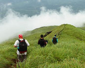 The beaten track