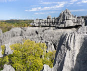 Madagascar