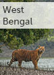 West Bengal guide