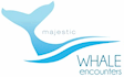 Majestic Whale Encounters