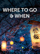 Where to go when