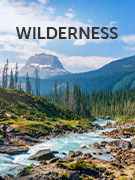 Wilderness
