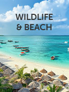 Wildlife and Beach