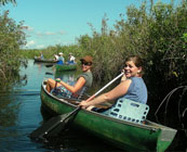 Small group tours