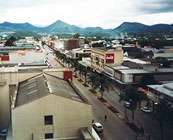 The cities