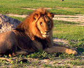 Hwange National Park