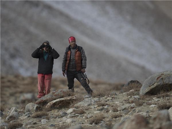 Snow Leopard searching vacation in Ladakh