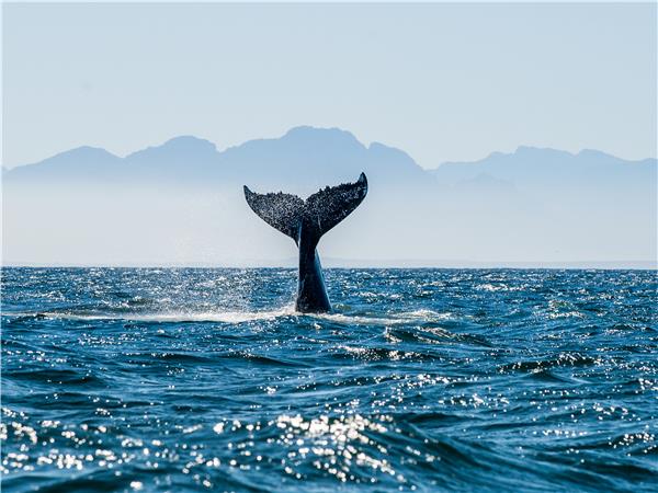 South Africa Garden Route luxury vacation