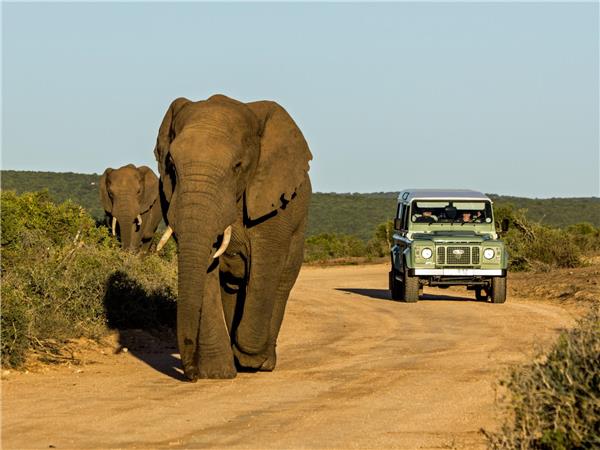 Garden Route tour, South Africa