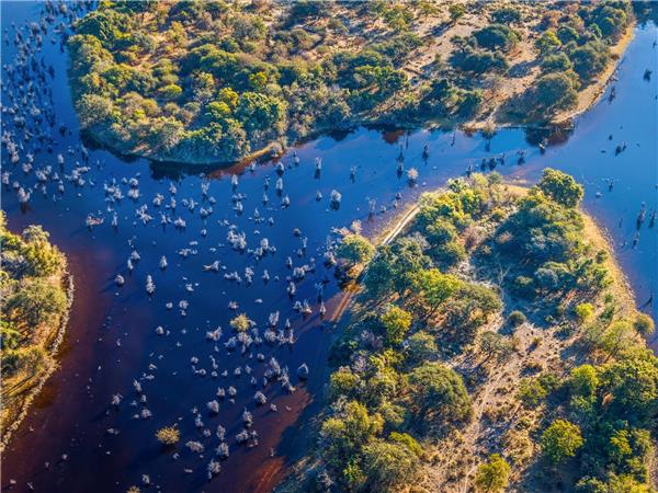 The Grand Southern Africa safari