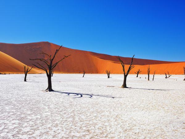 Vacation to Namibia