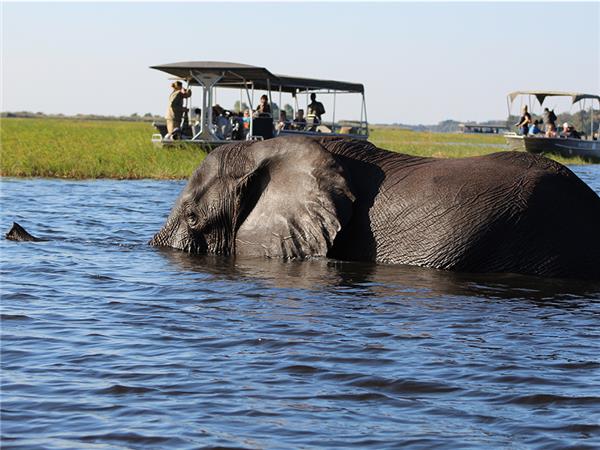 Southern Africa budget vacation