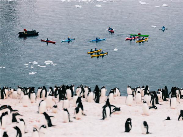 Best of Antarctica vacation