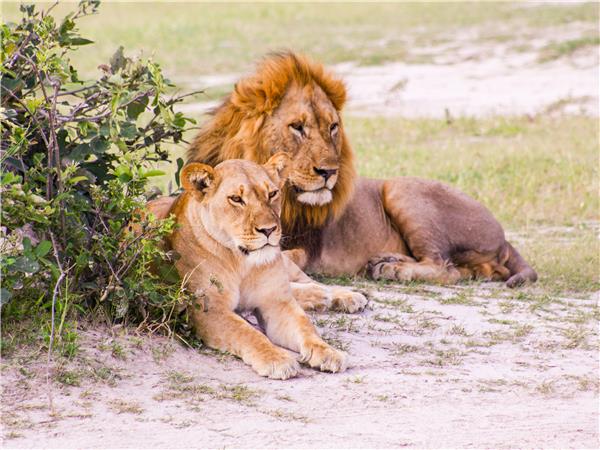 Okavango Delta safari in Botswana