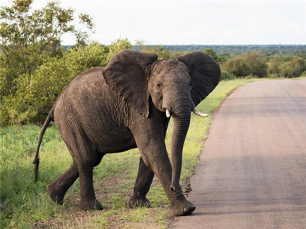 Southern Africa overland vacation
