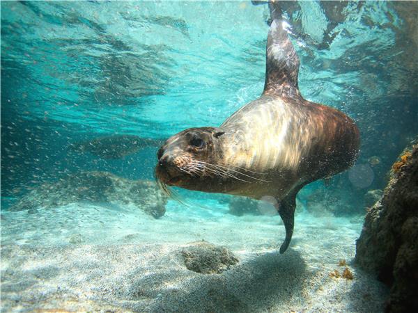 Island hopping vacationin the Galapagos
