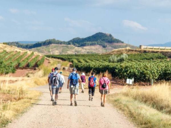 Best of the Camino walking vacation