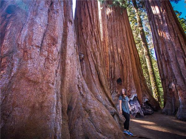 California National Parks small group tour