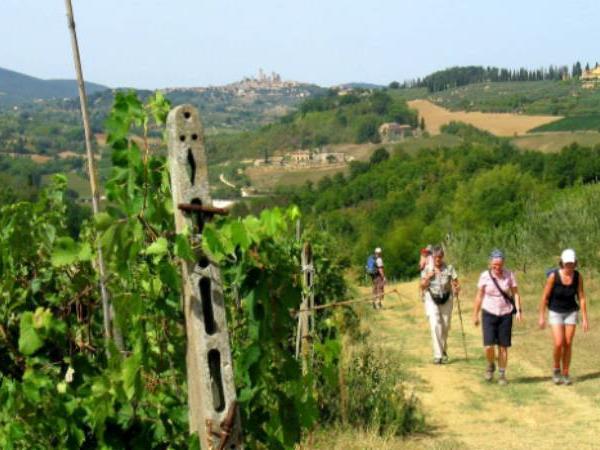 Francigena Way walking vacation Lucca to Siena